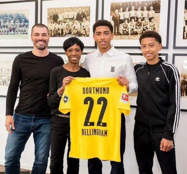 的职业寿命 的职业寿命