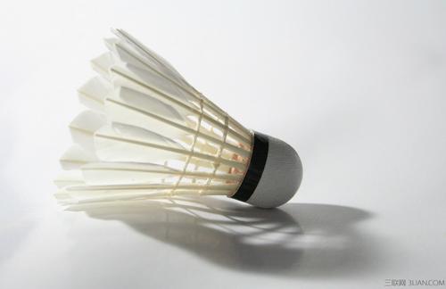 的红雀在濒 的红雀在濒