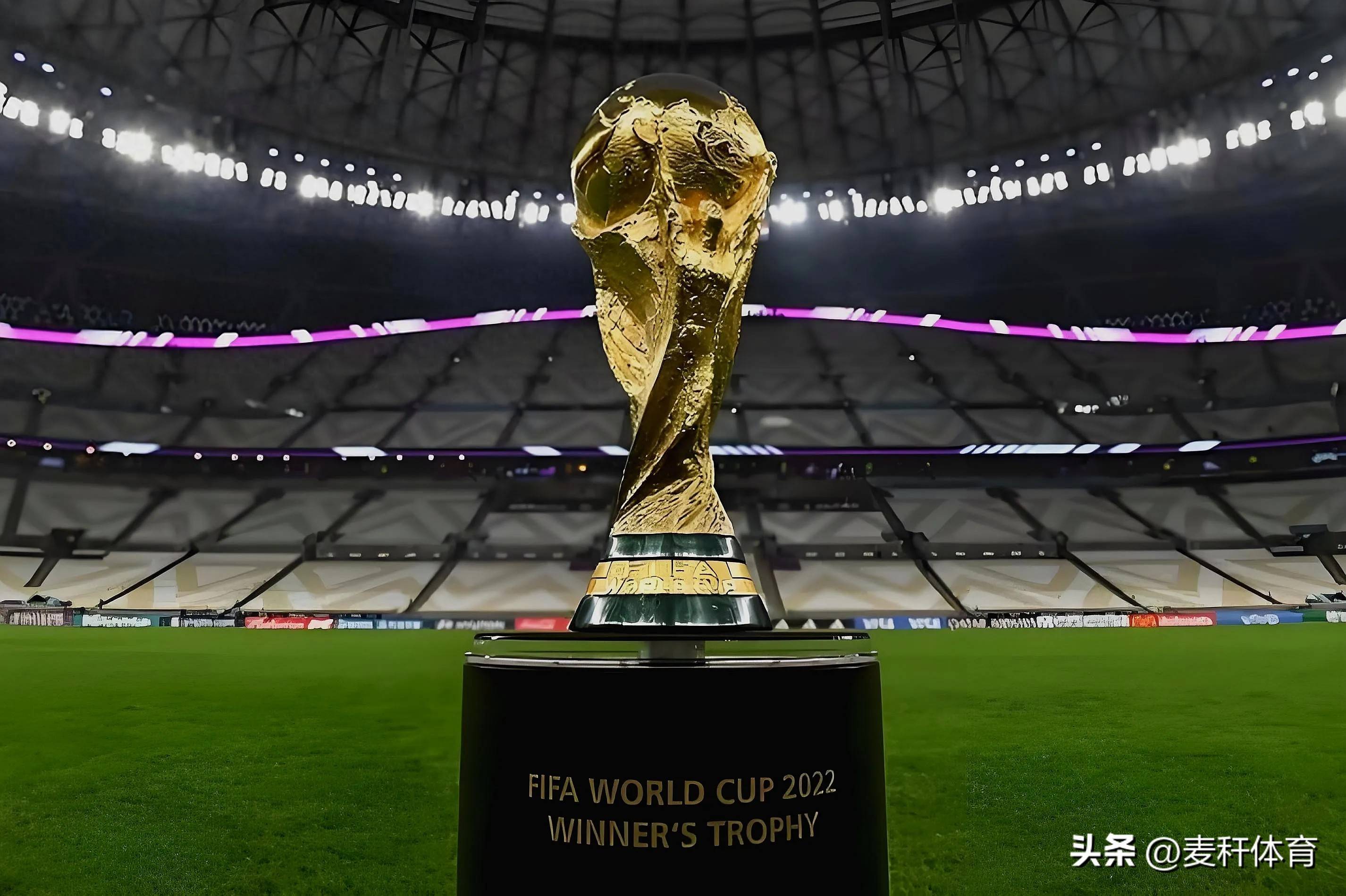 做出不利的 做出不利的